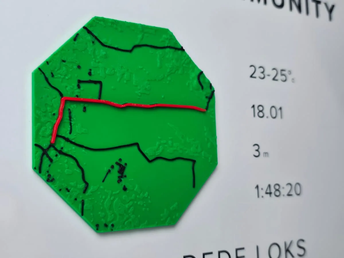 Contoh cetakan rute 3D pesanan pelanggan Garis Memori