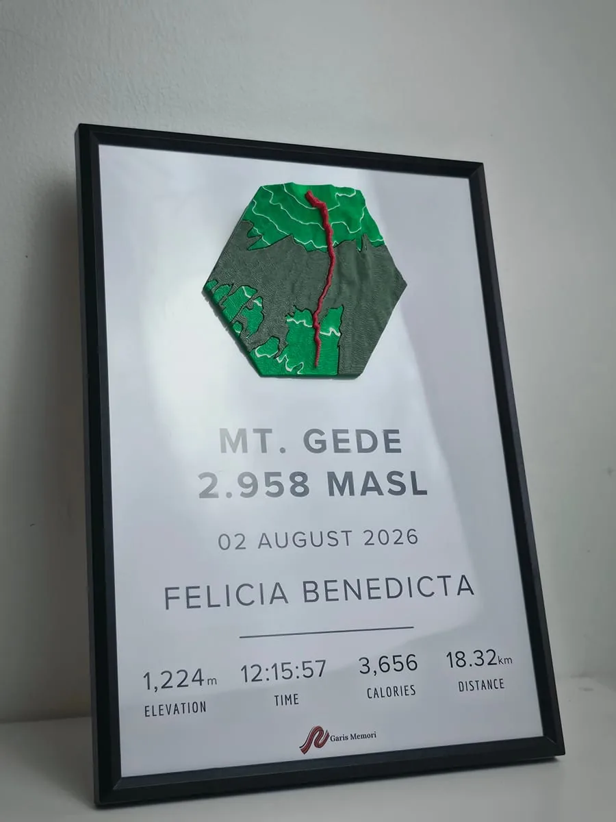 Contoh cetakan rute 3D pesanan pelanggan Garis Memori