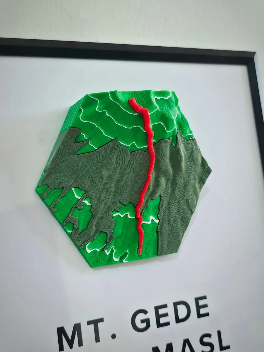 Contoh cetakan rute 3D pesanan pelanggan Garis Memori